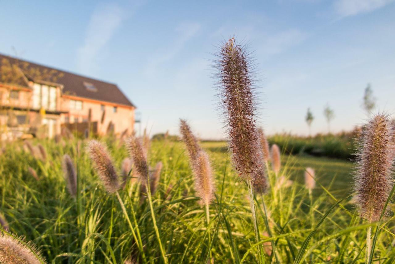 Eyndevelde Villa Herzele Luaran gambar